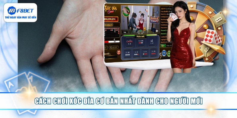 Cách chơi Xóc Đĩa cơ bản nhất dành cho người mới