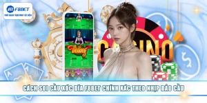Cách Soi Cầu Xóc Đĩa F8BET Theo Nhịp Biến Động Phiên Cược