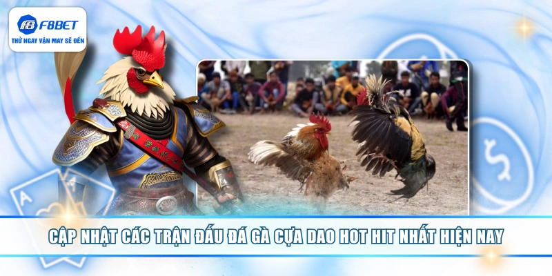 Cập nhật các trận đấu đá gà cựa dao hot hit nhất hiện nay