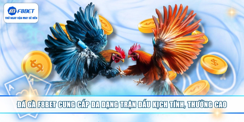 Đá gà F8BET cung cấp đa dạng trận đấu kịch tính, thưởng cao