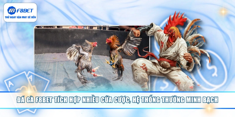 Đá gà F8BET tích hợp nhiều cửa cược, hệ thống thưởng minh bạch