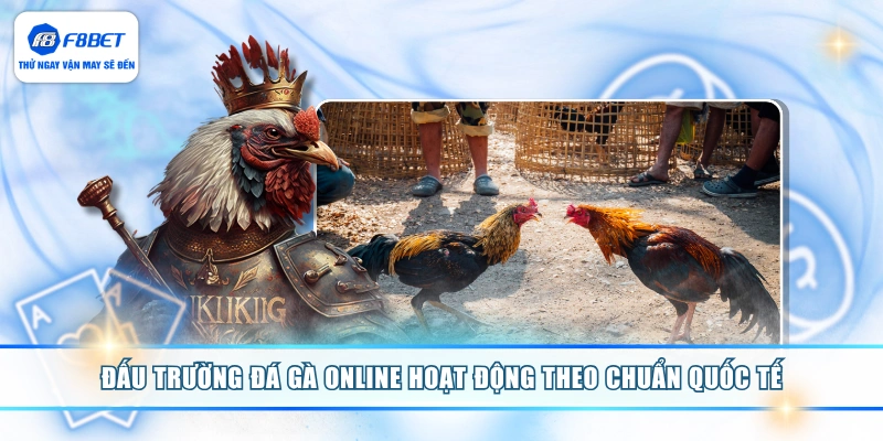 Đấu trường đá gà online hoạt động theo chuẩn quốc tế
