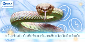Điềm Báo Mơ Thấy Rắn Và Con Số May Mắn Giúp Đổi Đời Siêu Tốc