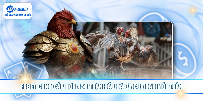 F8BET cung cấp hơn 450 trận đấu đá gà cựa dao mỗi tuần