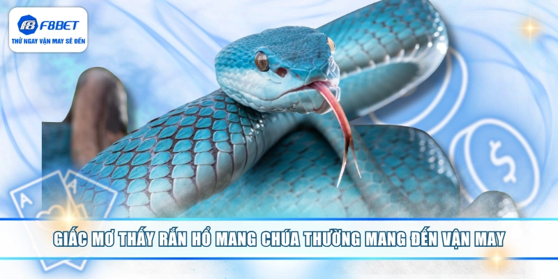Giấc mơ thấy rắn hổ mang chúa thường mang đến vận may