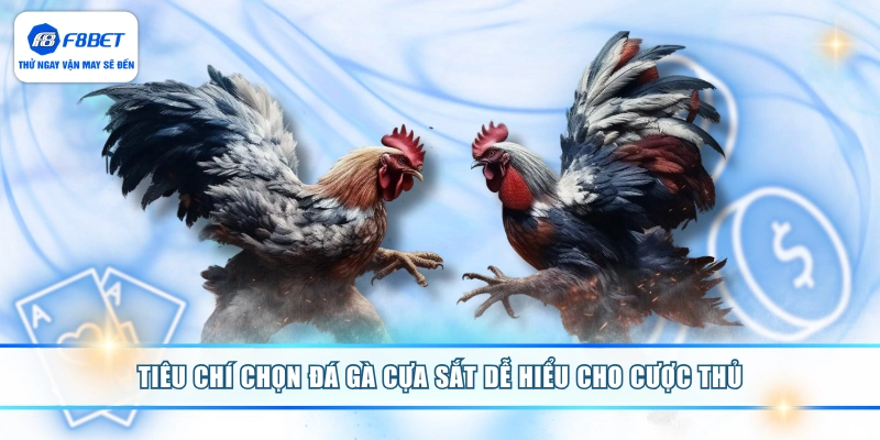 Tiêu chí chọn đá gà cựa sắt dễ hiểu cho cược thủ