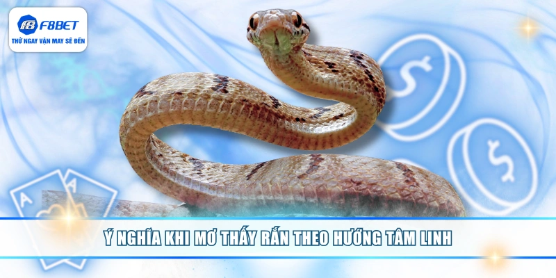 Ý nghĩa khi mơ thấy rắn theo hướng tâm linh
